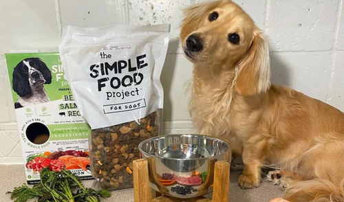 The SIMPLE FOOD PROJECT stands out as the clear choice for pet parents