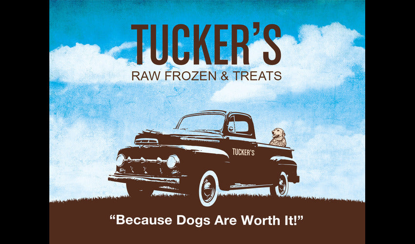 Unveiling the Benefits of Tucker's Raw Food: A Superior Choice for Your Pet's Nutrition