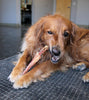 Tuesdays Natural Dog Company Large Beef Tendons Dog Treats (Bulk) (Bulk)