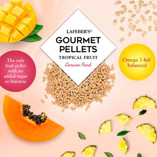 Lafeber Company Conure Tropical Fruit Gourmet Pellets