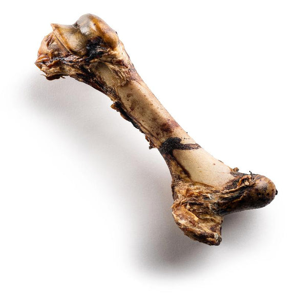 Jack&Pup Mammoth Bone Dog Treats (16 Inch)