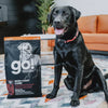 GO! Skin + Coat Care Large Breed Puppy Salmon Recipe With Grains (22 LB)