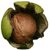 Exotic Nutrition Raw Walnuts (12 oz)