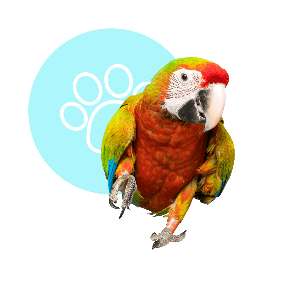 Reminder: Garden State Pet Center Offers Premium Boarding Services for Birds, Reptiles, and Small Animals!