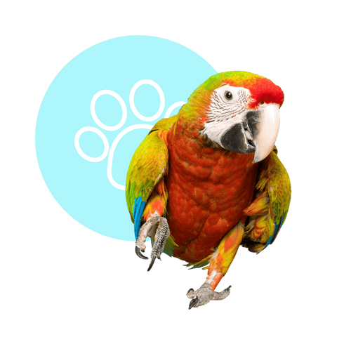 Reminder: Garden State Pet Center Offers Premium Boarding Services for Birds, Reptiles, and Small Animals!