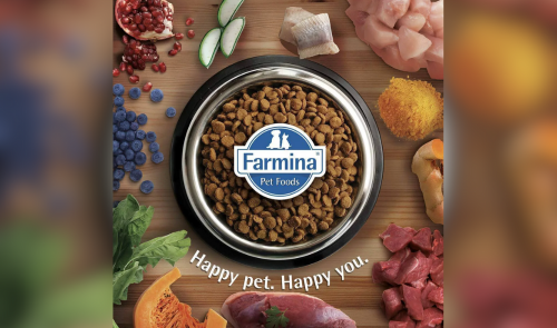 N&D Farmina Dog Food Review