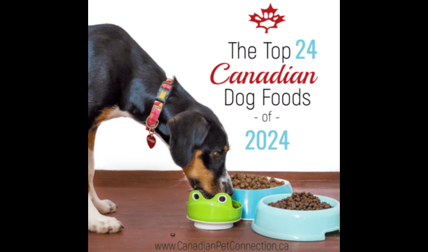 The Top 24 Dog Foods in Canada for 2024