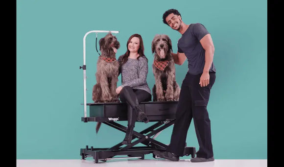The Benefits of a Grooming Table for Dogs: Keeping Your Pet Healthy and Happy