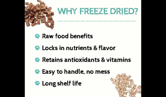 Why Adding Freeze-Dried Raw Pet Food to Kibble is Beneficial