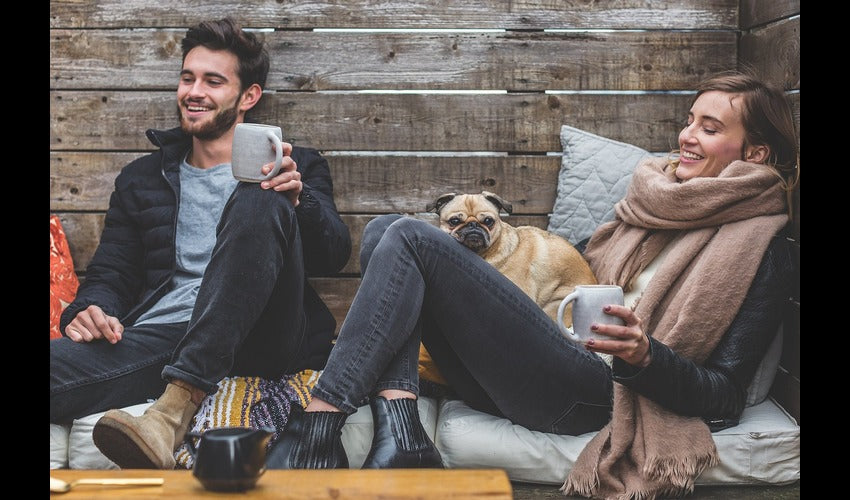 Balancing Life and Dog Time: 7 Strategies for Quality Moments