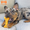 Nylabone Power Chew Cheese Dog Toy (Giant)