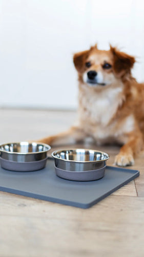 Messy Mutts Silicone Non-Slip Pet Bowl Mat with Raised Edge (16 x 12)