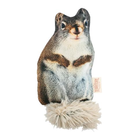 Territory Floppy Squirrel Dog Toy (11)