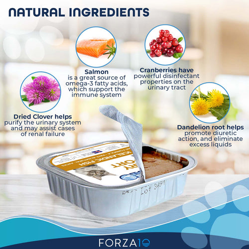 Forza10 Nutraceutic Actiwet Urinary Icelandic Fish Recipe Wet Cat Food (3.5 oz)