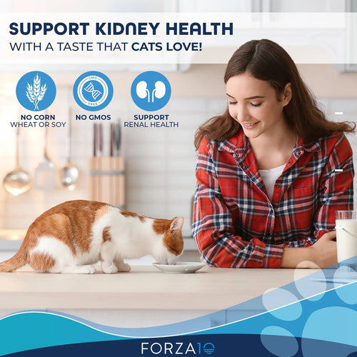 Forza10 Nutraceutic Actiwet Renal Support Wet Cat Food (3.5 oz)