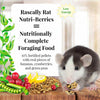 Lafeber Rascally Rat Nutri-Berries (10 oz)