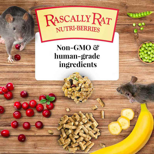 Lafeber Rascally Rat Nutri-Berries (10 oz)