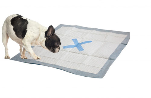 Ethical Pet X Marks the Spot  Puppy Pad (22' X 22' 100/Pkg 100 Ct)