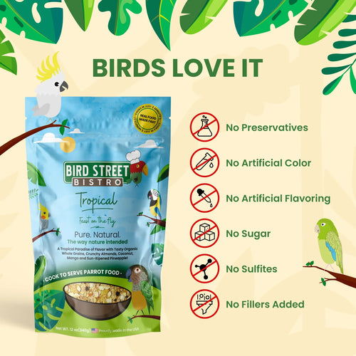 Bird Street Bistro Tropical - Feast on the Fly Parrot Food