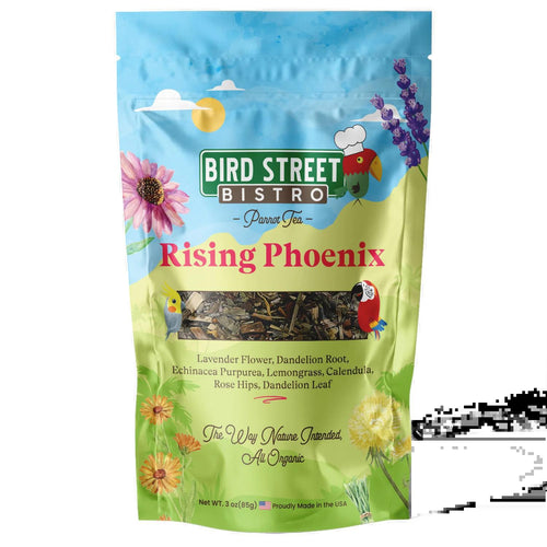 Bird Street Bistro Rising Phoenix Parrot Tea