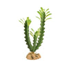 Zoo Med Desert Flora – Euphorbia (1 Count)