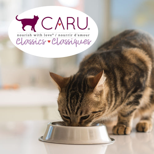 Caru Classics Wild Salmon & Turkey Stew for Cats