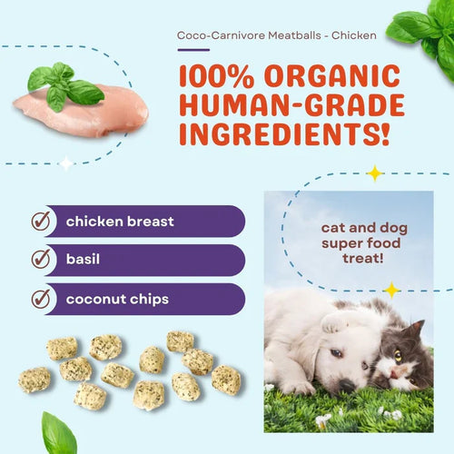 CocoTherapy Coco-Carnivore Meatballs – Chicken + Basil + Coconut Dog Treats (25 oz)