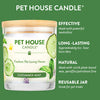 Pet House Cucumber Mint Candle (9 Oz)