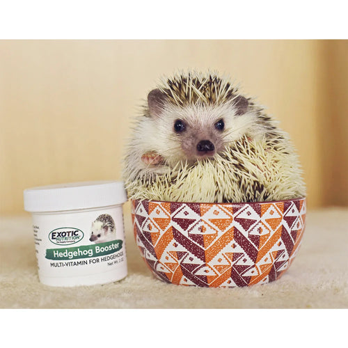 Exotic Nutrition Hedgehog Booster (Multivitamin) (2 oz)