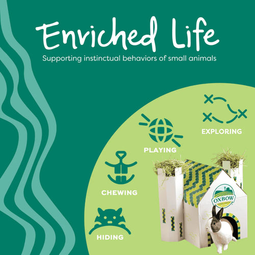 Oxbow Animal Health Enriched Life – Multi-Level Habitat (One Size)