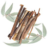 Exotic Nutrition Eucalyptus Branches