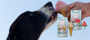 black & white dog licking strawberry ice cream cone from a hand