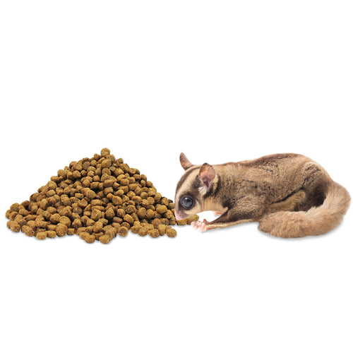 Exotic Nutrition ZooPro Glider Essential Sugar Glider Food (1.75 lbs)