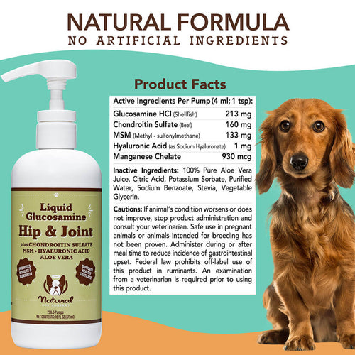 Natural Dog Company Liquid Glucosamine Hip & Joint Oil for Dogs (16 oz)