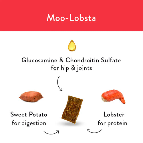 5oz Shameless Pets Moo Lobsta Jerky Bites