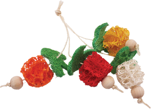 A & E Cage Loofah Bunch of Fruits Small Animal Toy (Small)