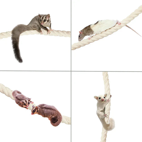 Exotic Nutrition Natural Rope Small Animal Toys