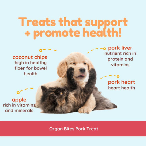 CocoTherapy Organ Bites! Pork Organs + Apples + Coconut - Raw Organ Meat Treat for dogs and cats (3 oz)