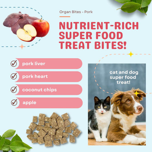 CocoTherapy Organ Bites! Pork Organs + Apples + Coconut - Raw Organ Meat Treat for dogs and cats (3 oz)