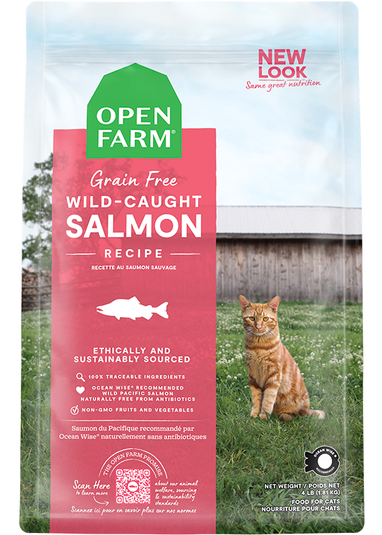 Open Wild-Caught Salmon Dry Cat Food (4-lbs)