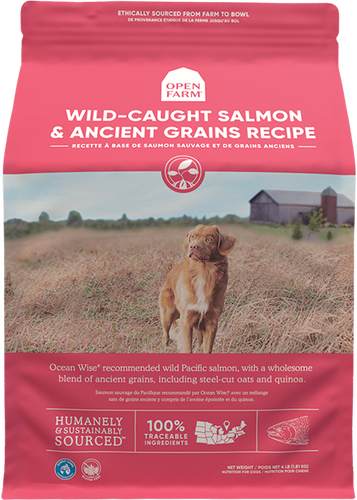 Open Farm Wild-Caught Salmon & Ancient Grains Dry Dog Food