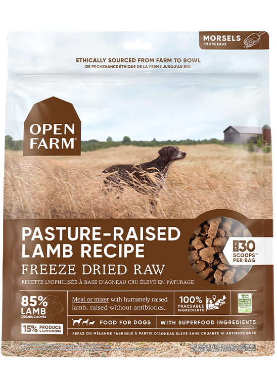 Open Farm Pasture-raised Lamb Freeze Dried Raw Dog Food (3.5 oz)
