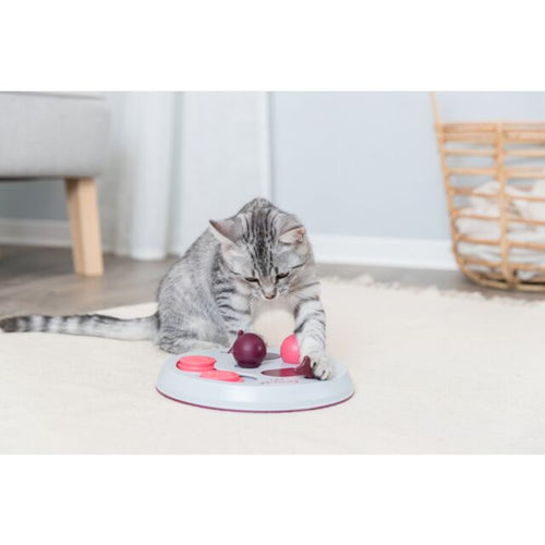 Trixie Cat Flip Board (23 cm)