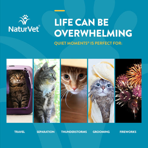 NaturVet Scoopables Quiet Moments® Calming Aid for Cats (45 Scoops)