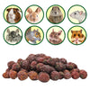 Exotic Nutrition's Critter Selects Dried Rose Hips Treats for Small Animals (3 oz)