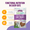 Health Extension Superbites Freeze Dried Raw - Beef Recipe Cat Treats