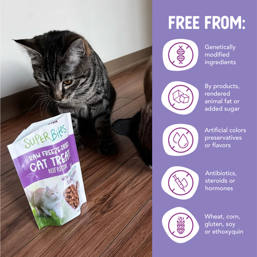 Health Extension Superbites Freeze Dried Raw - Beef Recipe Cat Treats