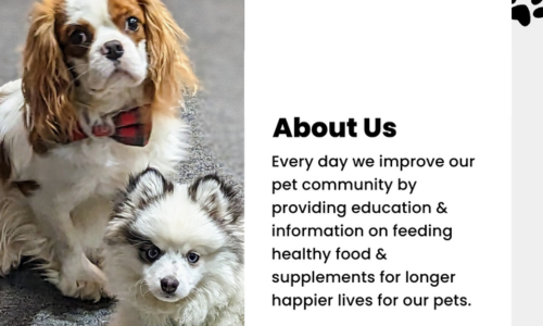 Pet nutrition information