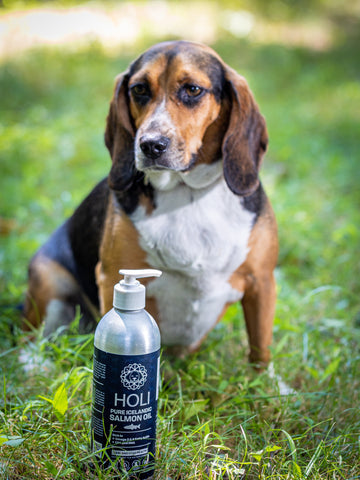 HOLI Icelandic Salmon Oil for Dogs and Cats