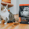 Petcurean GO! Weight Management + Joint Care Grain-Free Salmon Dry Cat Food